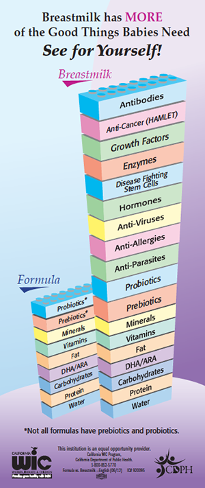 A "Lego stack" illustration comparing the components of formula and breastmilk (Image credit: California Department of Public Health)